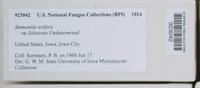 Image Associated With the Occurence